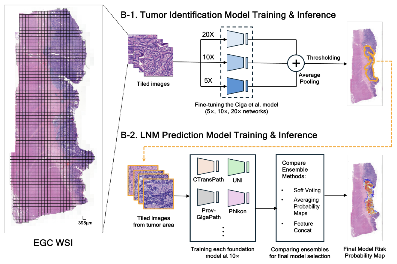 Infant LV and CP segmentation